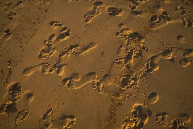 digital footprints